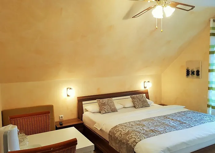 بنسيون كون بيت ضيافة 3*